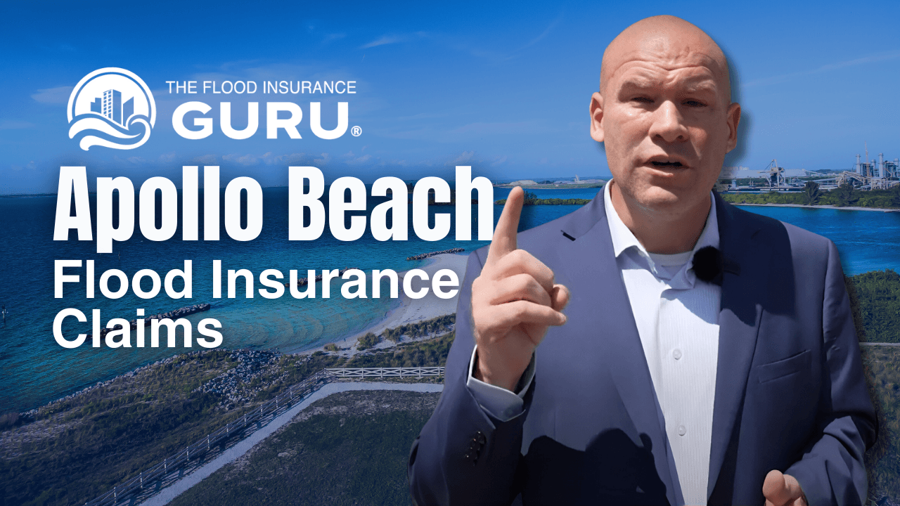 Apollo Beach