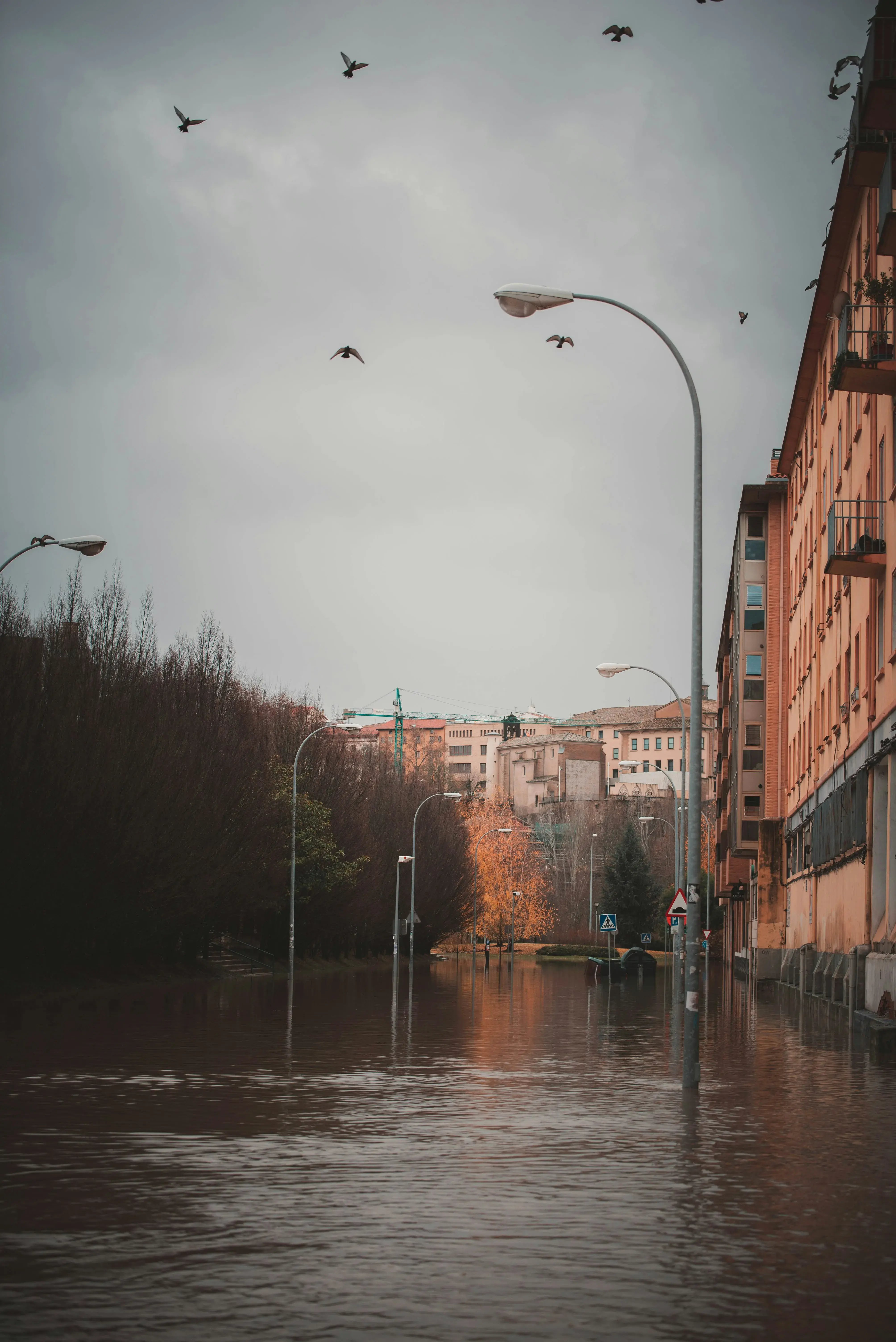Flooding in Dothan, Alabama after heavy inland hurricane rainfall