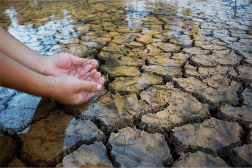 The Flood Insurance Guru | Blog | Spring in Arizona: How Droughts Increase Flood Threat