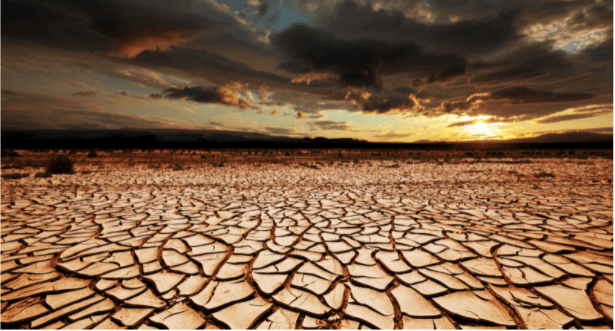 The Flood Insurance Guru | Blog | Spring in Arizona: How Droughts Increase Flood Threat