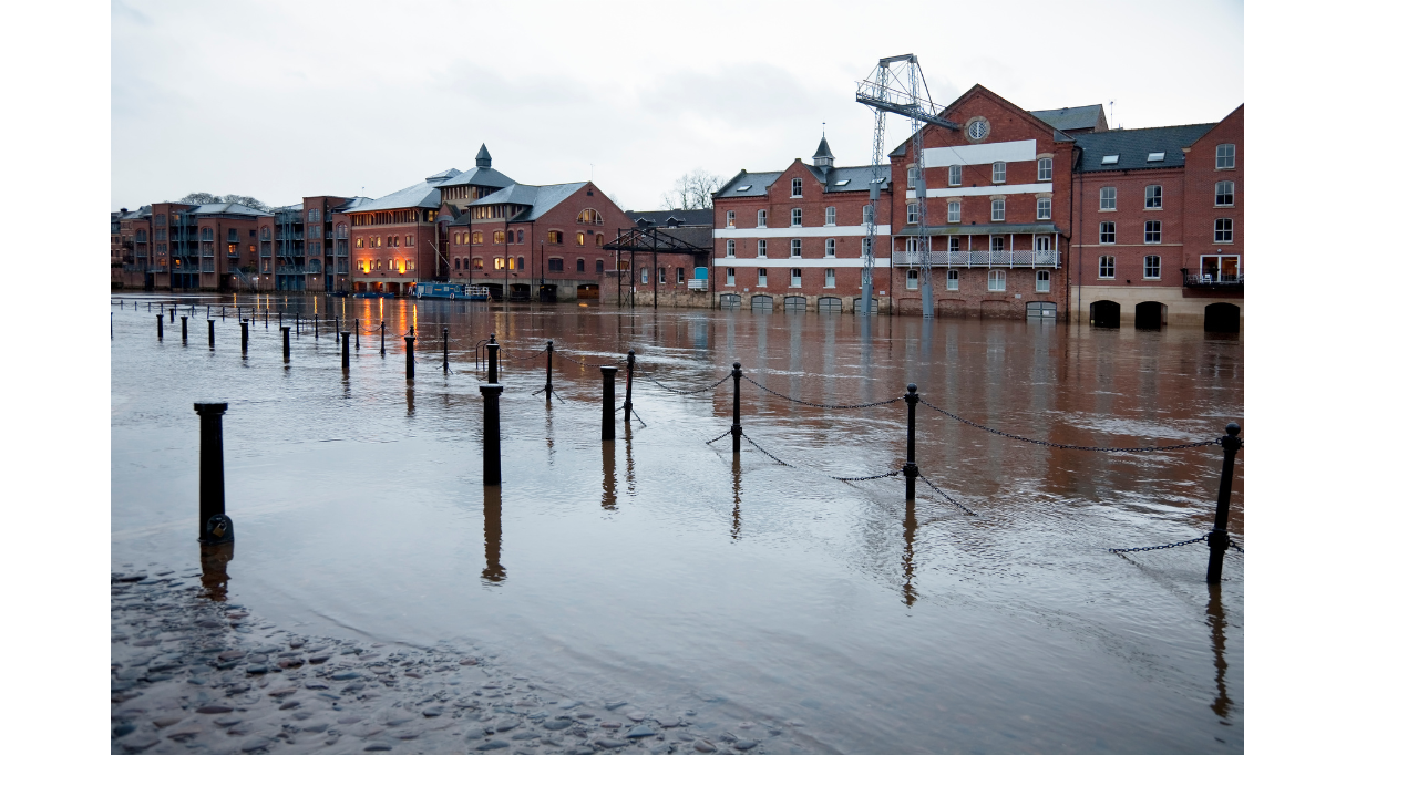 Neill Insurance - 2025-12-03T151216.121