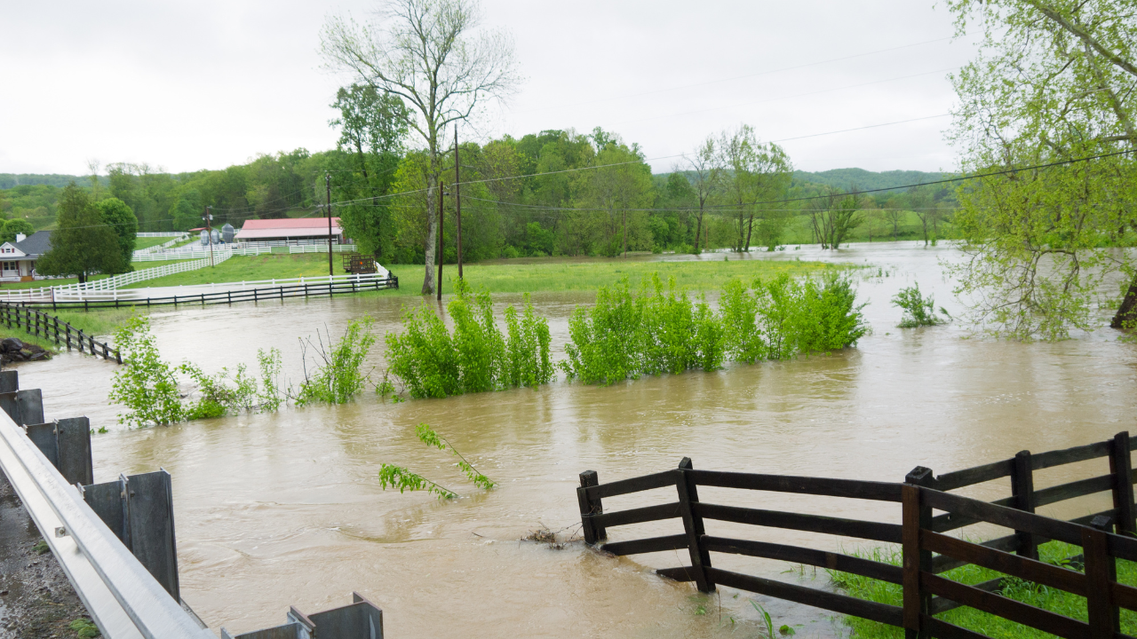 Flooded rural Tennessee landscape with rising water covering fields, fences, and roads near homes and farmland after heavy rainfall.
