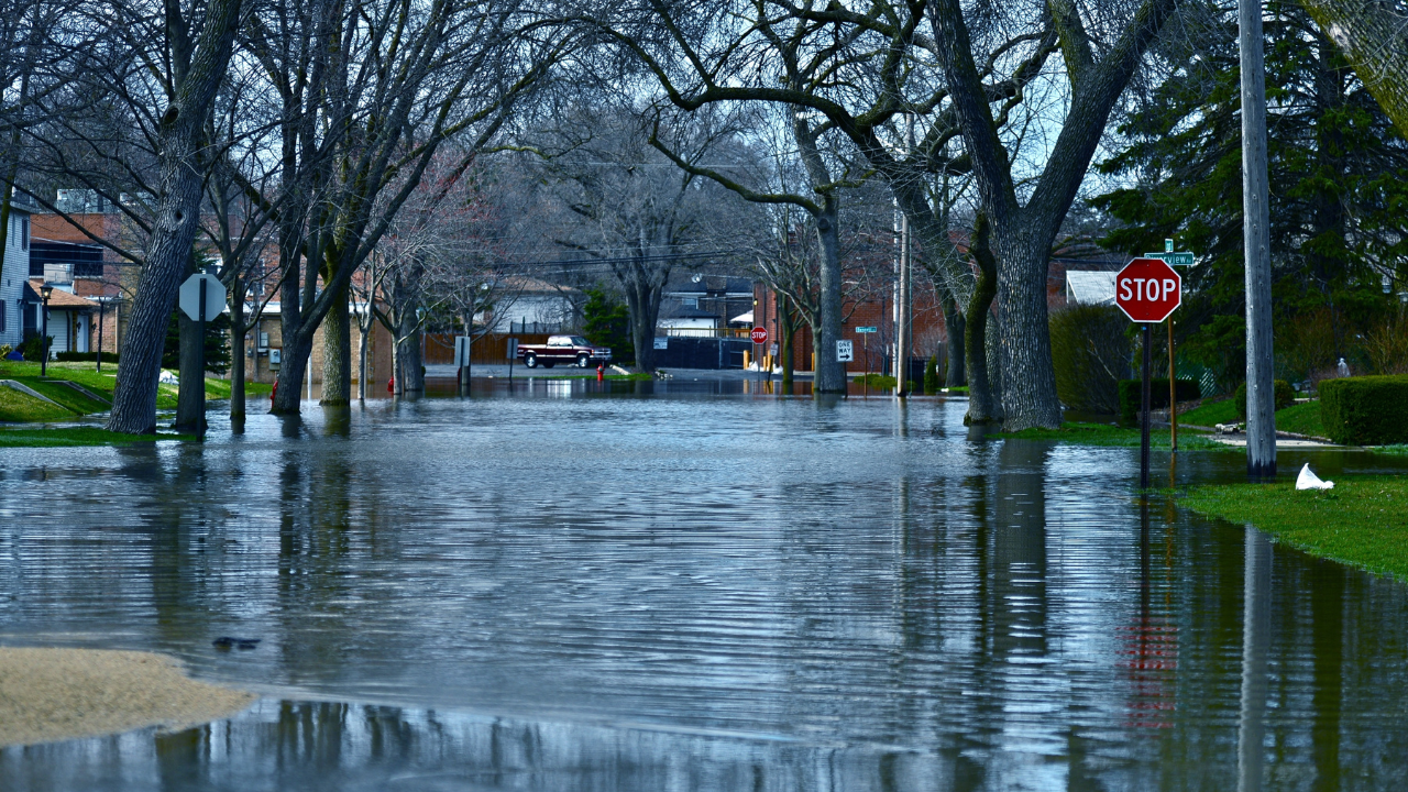 Flooded residential street with standing water covering the roadway, surrounded by trees, homes, and traffic signs after heavy rainfall and neighborhood flooding.