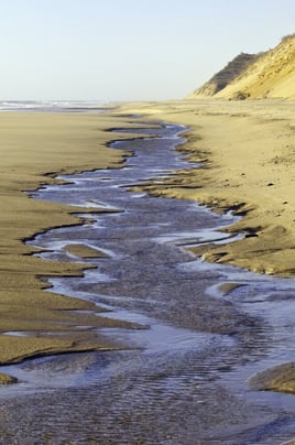 Tidal channel along sandy beach after sunrise on Cape Cod, Massachusetts