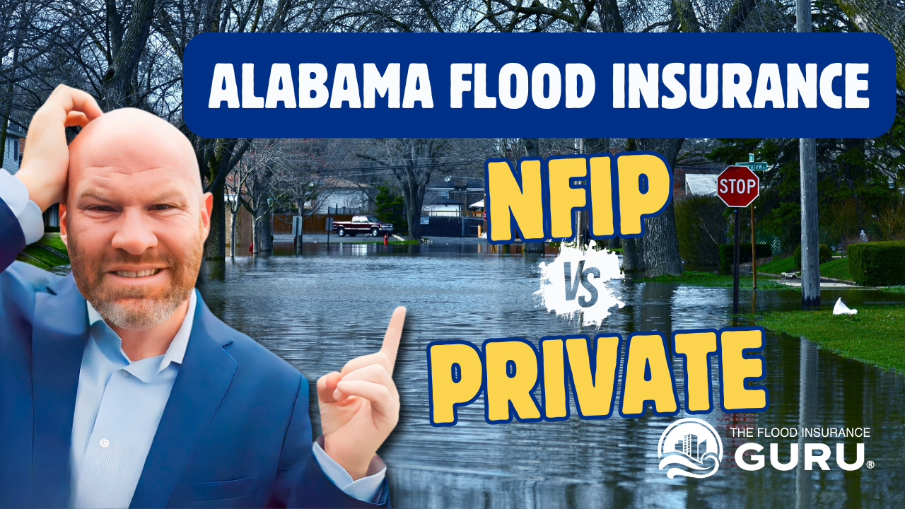 NFIP vs Private Flood Insurance in Alabama: The Complete Comparison