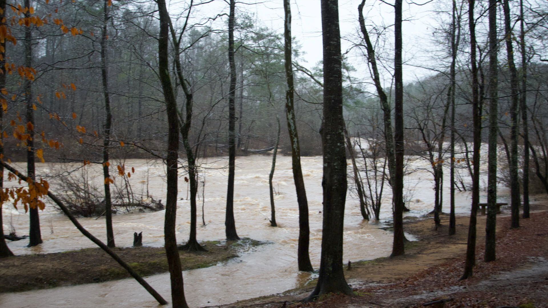 action flood photo