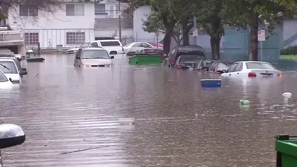 Flooded Cars