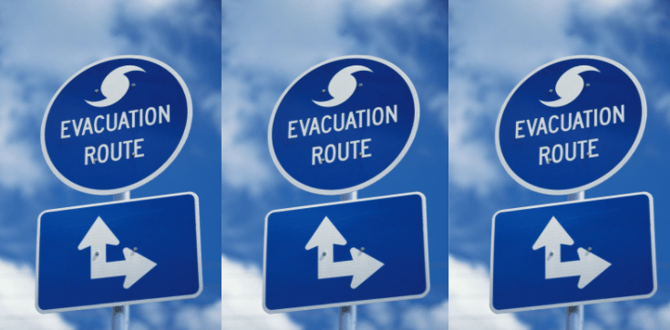 The Flood Insurance Guru | Podcast | What is Loss Avoidance?