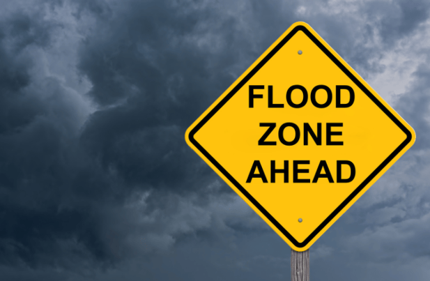 The Flood Insurance Guru | Flood Map Update | Roseburg, Oregon