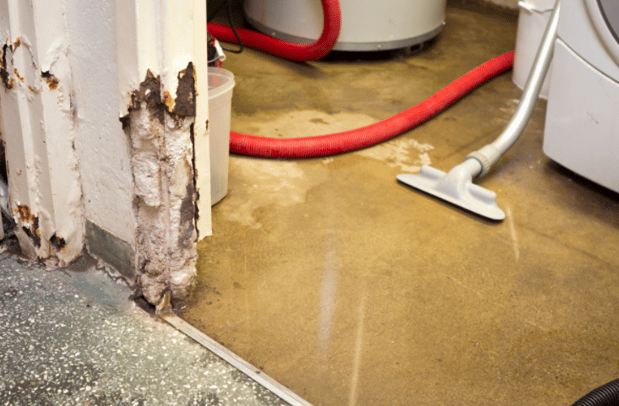 The Flood Insurance Guru | YouTube | Flood Tips: Water Damage What's Next?