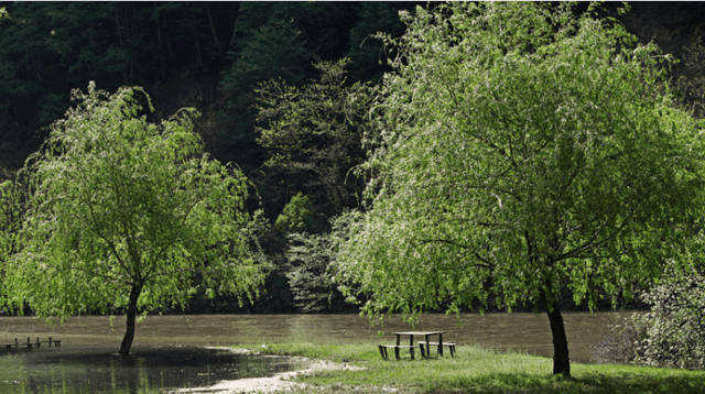 Why Business Owners Should Make Commercial Flood Insurance a Priority