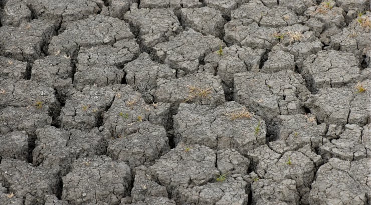 What Snowmelts Mean for Flooding in Ohio