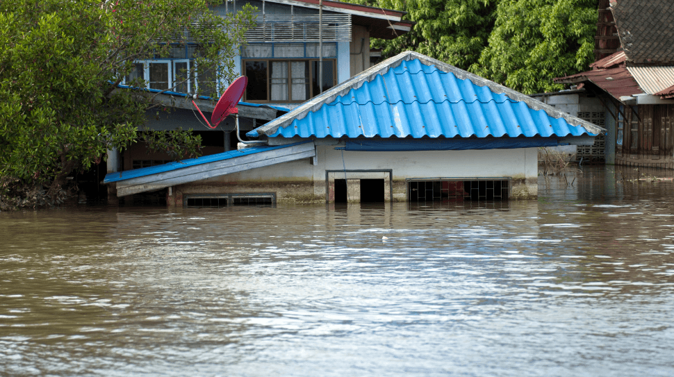 Guide to Understanding the FEMA Buy Back Program in Pelham, AL