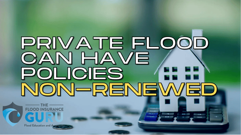 What Gets Your Vote: NFIP or Private Flood?