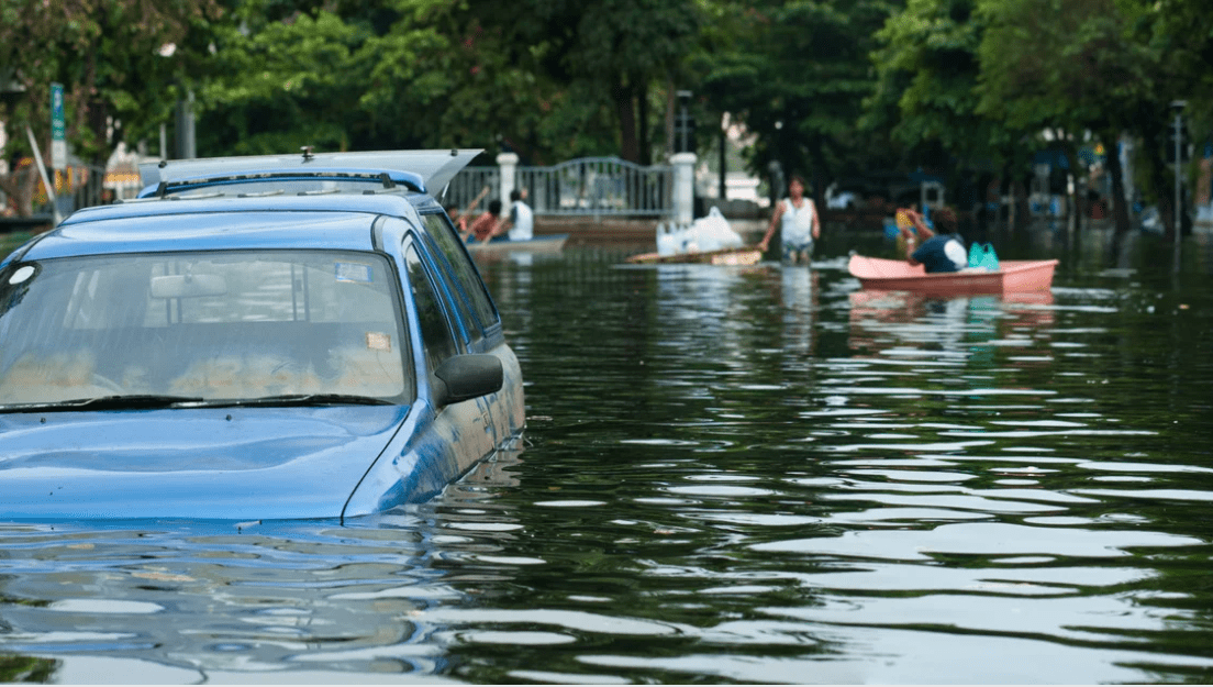 Guide to Understanding the FEMA Buy Back Program in Pelham, AL