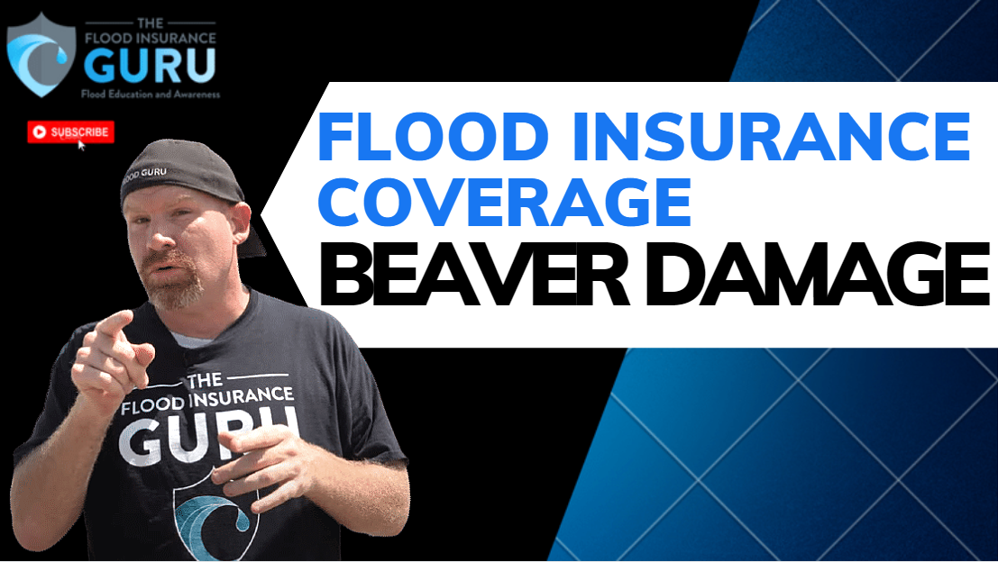 The Flood Insurance Guru | YouTube | Flood Insurance Coverages: Beaver Damage