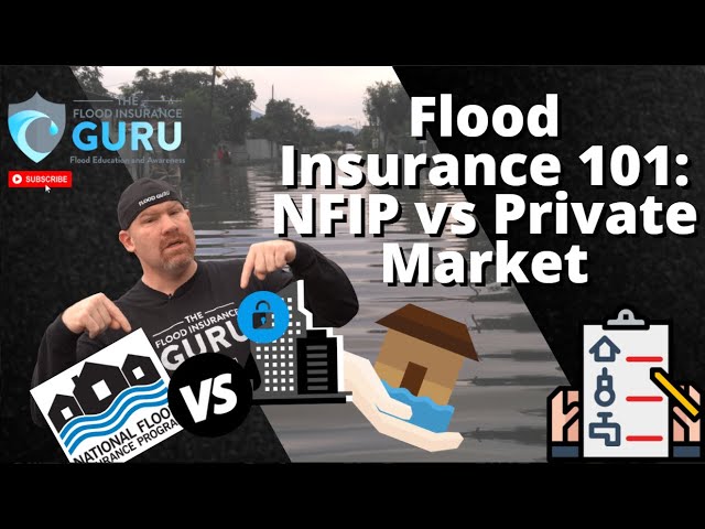 The Flood Insurance Guru | YouTube | Flood Insurance 101: NFIP and Private Flood?