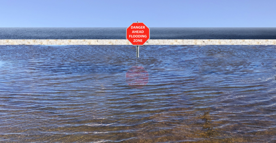 The Flood Insurance Guru | Podcast | Flood Map Updates: Carroll and Dekalb Georgia