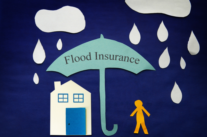 The Flood Insurance Guru | National Flood Insurance Program vs Private Flood 2021