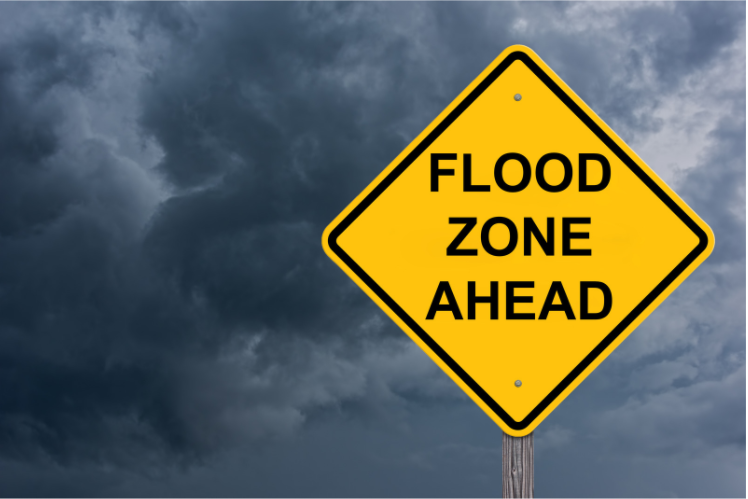 The Flood Insurance Guru | Podcast | My Real Estate Listing is in a Flood Zone What Do I Do?