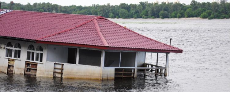 The Flood Insurance Guru | Podcast | Flood Insurance Heading Down the Healthcare Insurance Road?