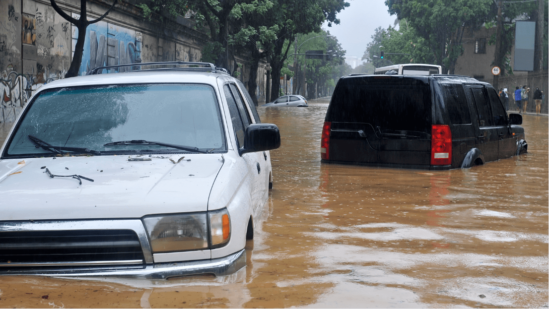 Everything You Need to Know about FEMA's Acknowledgment Form