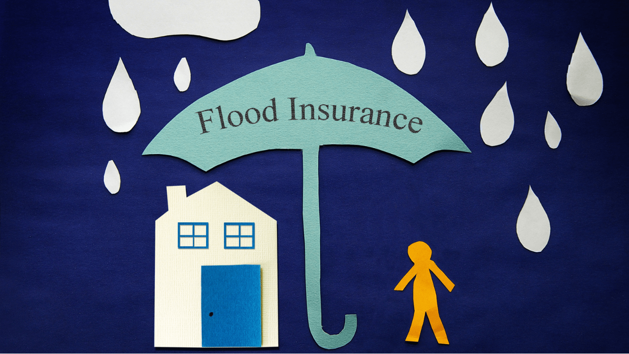 Modernizing The National Flood Insurance Program (NFIP)