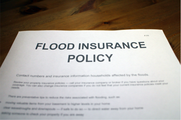 The Flood Insurance Guru | Alabama Flood Insurance: Policy Assumption Property Owner's Great Tool