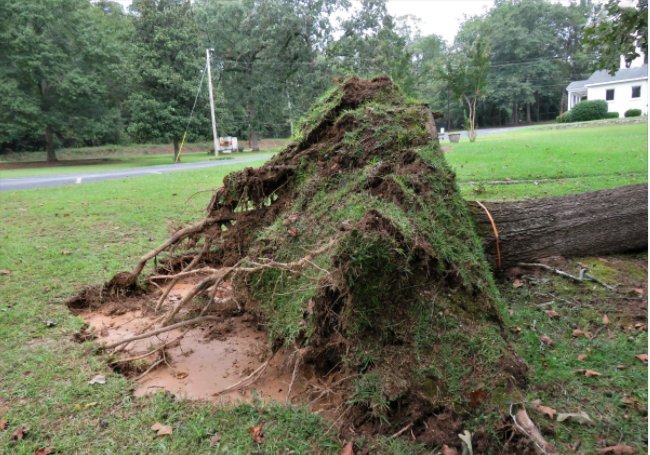 Is Alabama Flooding Increasing?