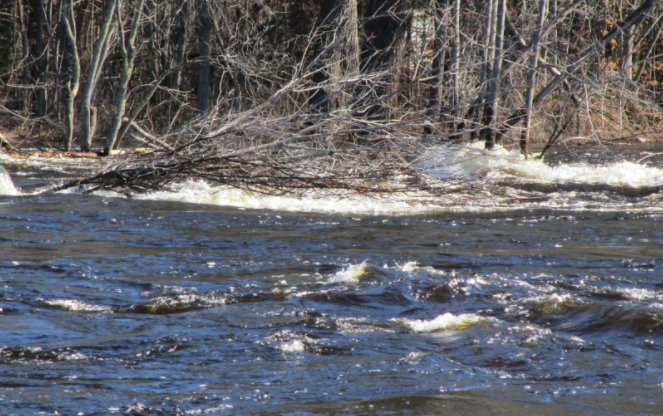 The Flood Insurance Guru | YouTube | Flood Insurance Coverage: Alarming Spring Flood Patterns