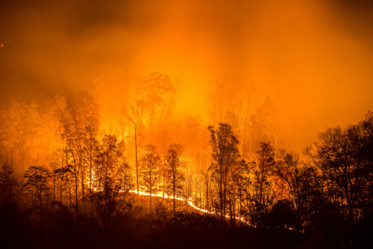 How Will The Caldor Fire Impact Flooding in California?